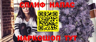 СК Ачхой-Мартан