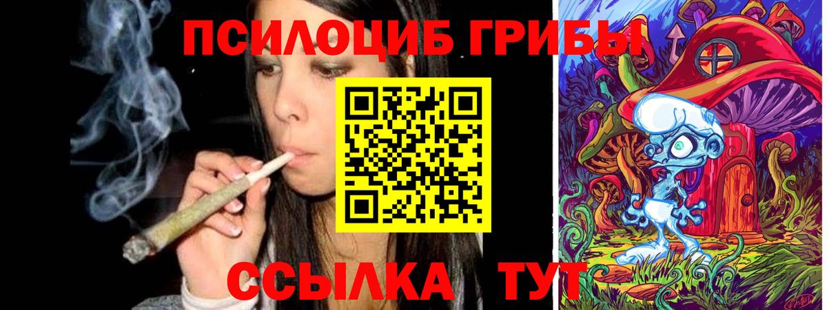 даркнет сайт  Вход с VPN  Галлюциногенные грибы MAGIC MUSHROOMS  Алатырь  Галлюциногенные грибы Psilocybine cubensis 